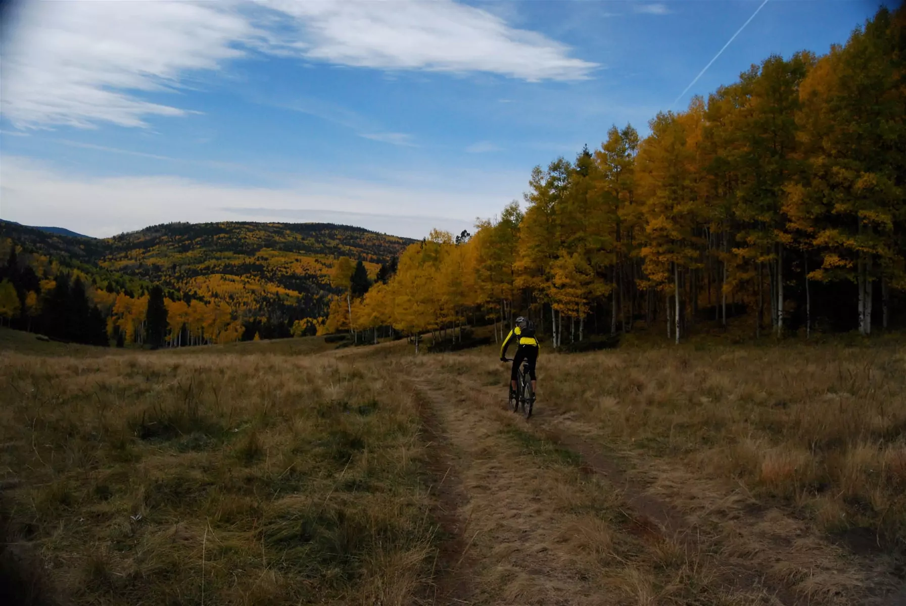 Mountain Biking Taos