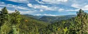 Abode Panorama
