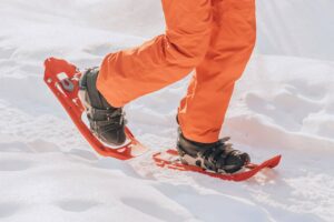 A person Snowshoeing​.